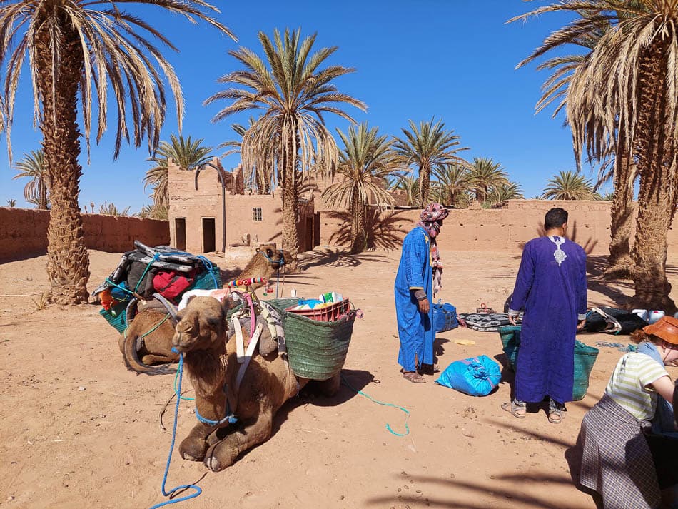 20230311 155648 Selectie Stef Aerts W950