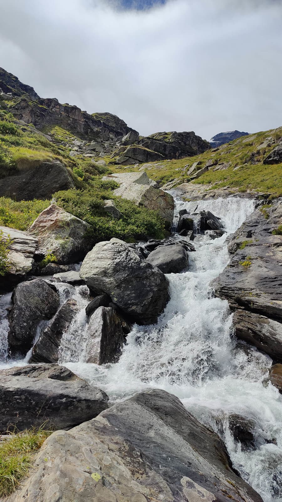 IMG20230808155128 1080