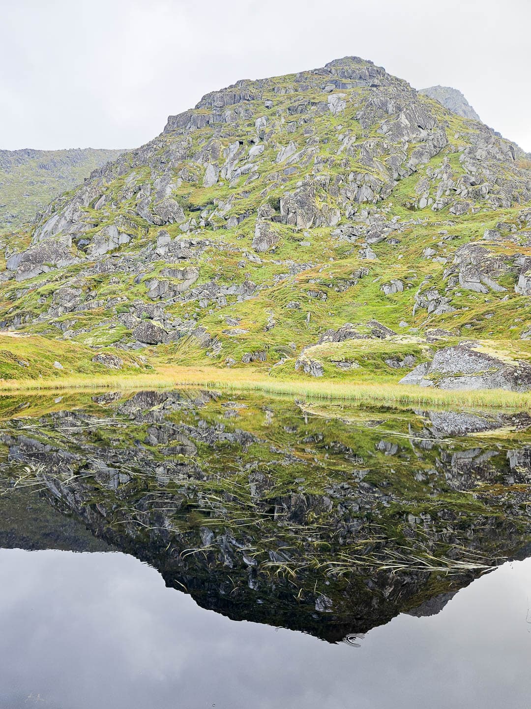 NO4LFA Cedricon 2024 (17) Cedric On 1080