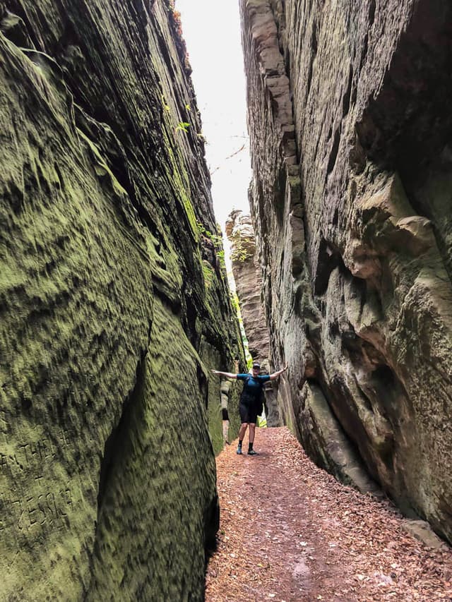 67792059_373151270025373_6531544727680974848_n__w950