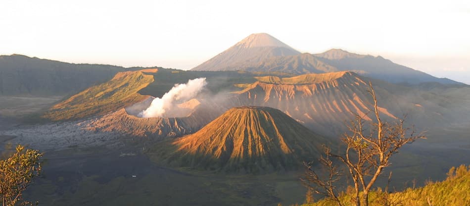 Indonesie-jong-07-Stijn-Van-Rompaey-7_export_w950