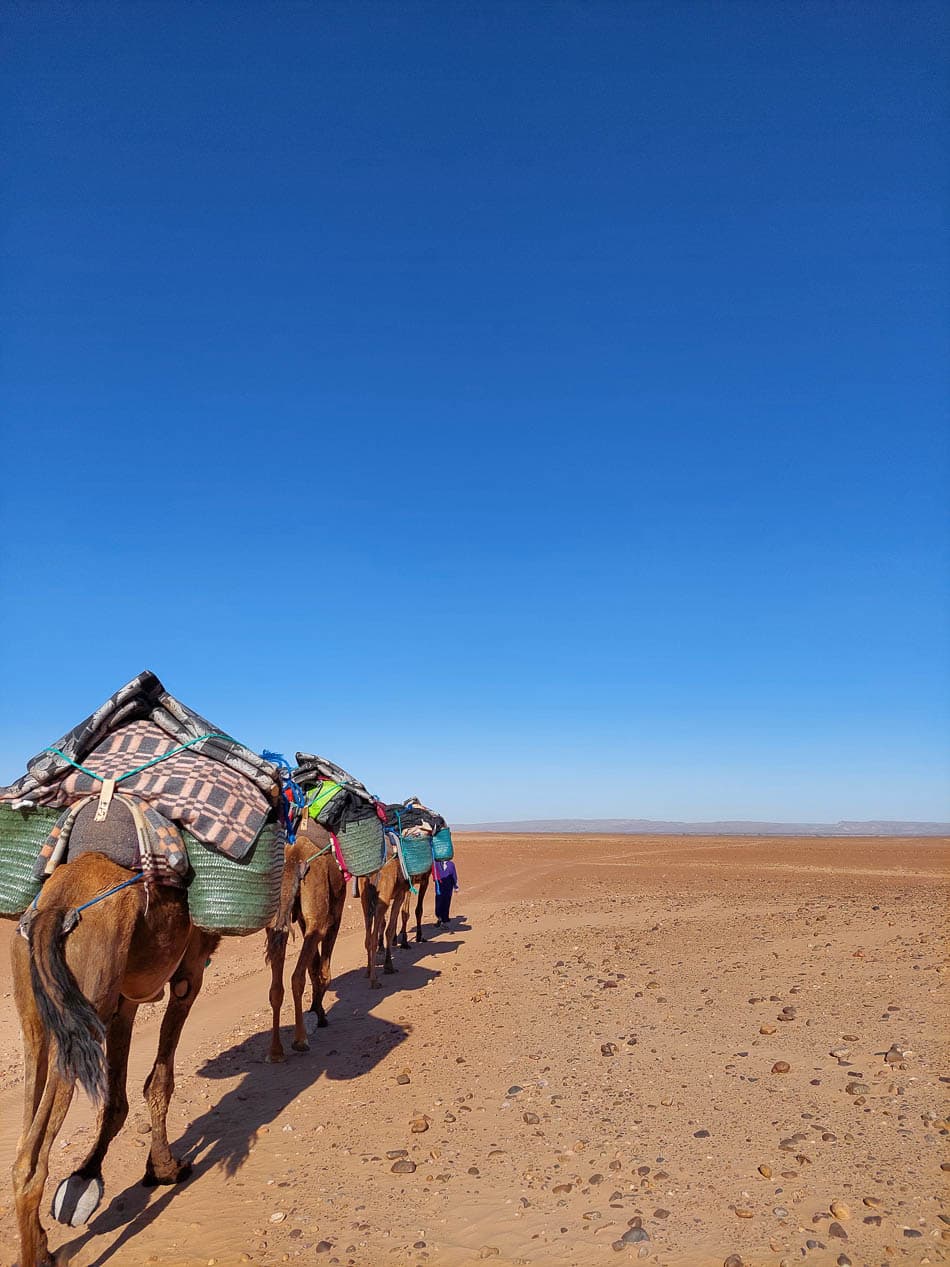 20230312 094326 Selectie Stef Aerts W950