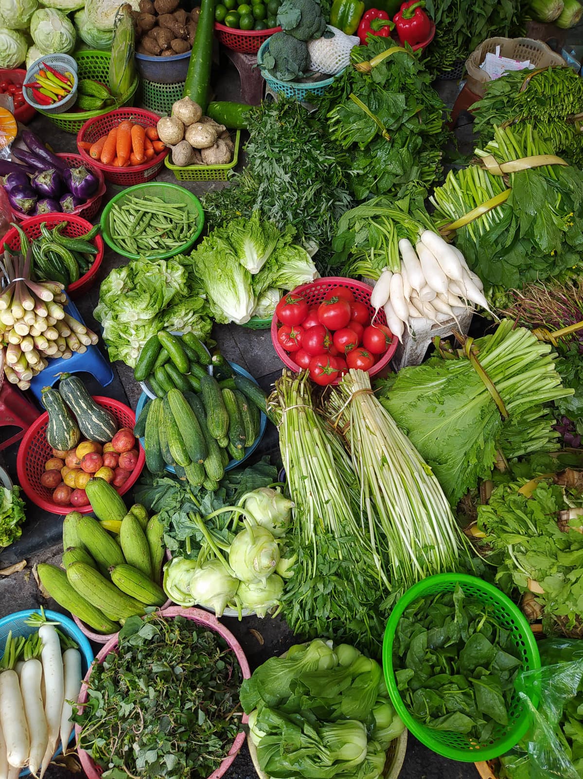 IMG 20241102 152542 Selectie Charlotte Stevens W1280