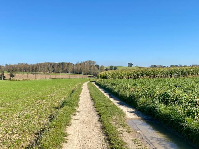 Image00007 Selectie Yasmin Haegeman W950