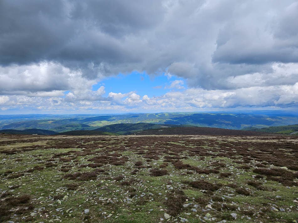 20240524 132612 Selectie Lode Masschelein W950