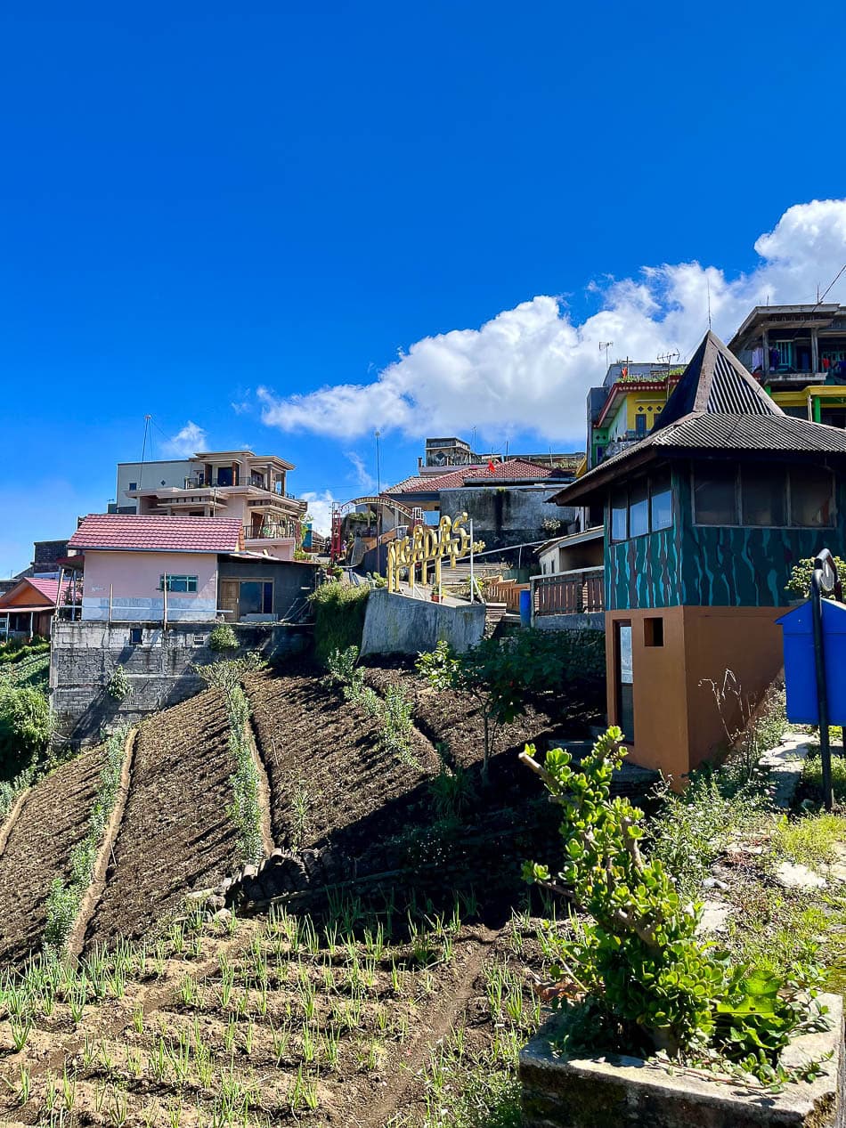 Image00013 Selectie Eveline Eveline Claes W950 Eveline Claes Eveline Claes W950