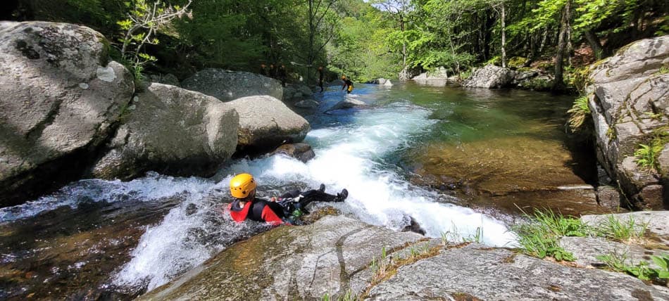 Whatsapp Image 2024 05 28 At 14.48.21 (3) Selectie W950