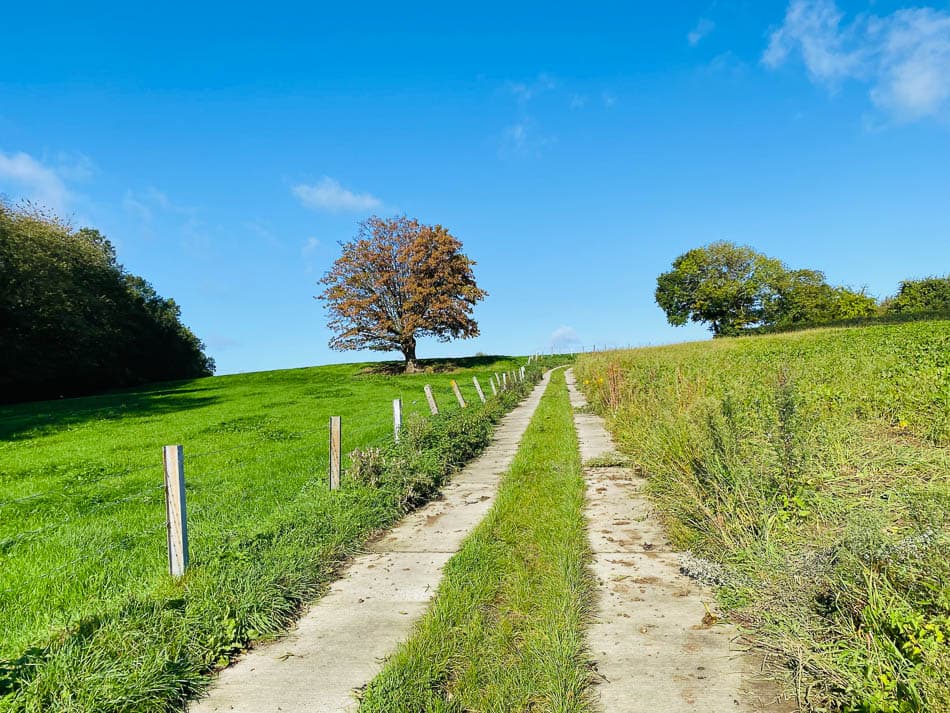 Image00001 Selectie Yesmin Haegeman W950