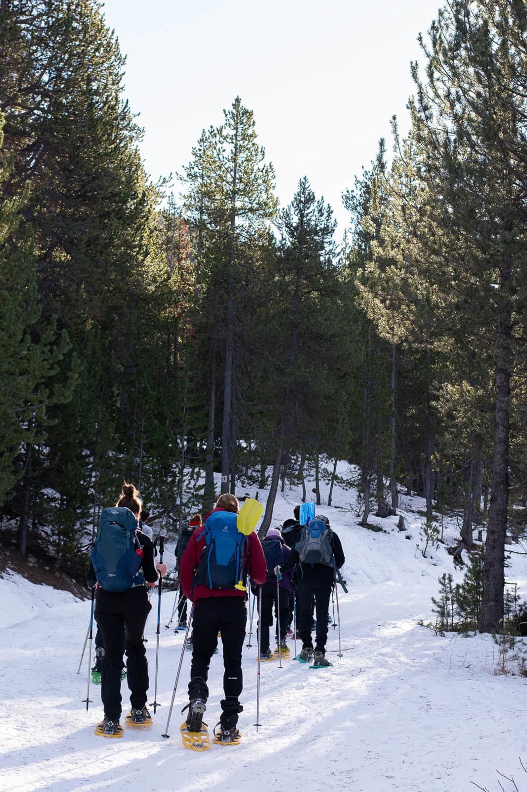 DSC 9236 Vanhollebeke Jelena 1080